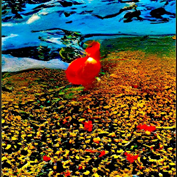 Meet your Posher, Christine - Picture 6 of 13